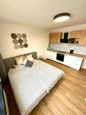Apartmán č.4 v bankovním domě, Kutna Hora